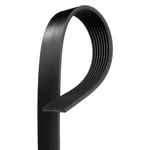 Acdelco 8K547 Professional Standard V-ribbed Serpentine Belt. Fixed Price $60.49.