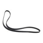 Acdelco 12653580 V Ribbed Serpen (slp P1). Fixed Price $39.42.
