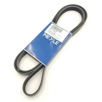 Drive Belt Jaguar F-type 3.0L 5.0L Petrol Supercharged T2R91501 T2R18722 Meyle. Fixed Price $44.00.