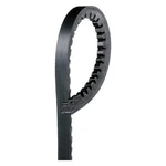 Acdelco 15619 Professional Standard High Capacity V-belt. Fixed Price $21.29.