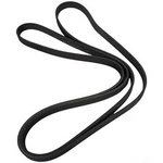 JK61033 Motorcraft Serpentine Belt F150 Truck Ford Expedition Navigator. Fixed Price $67.70.