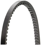 Dayco 17525DR Accessory Drive V-belt Spun Cog. Fixed Price $19.99.