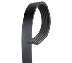 Gates K061145 Serpentine Belt, Six Rib, 89-99 Chevrolet Dodge Ford Gmc Models. Fixed Price $27.95.