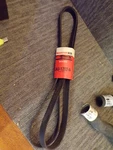 Oem Nos Motorcraft Serpentine Belt Main Drive 5081195 F5TE8620E. Fixed Price $64.99.