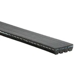 For Acura Integra 2000-2001 Gates K040300 Micro-v V-ribbed Belt. Fixed Price $22.47.