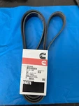 Genuine Cummins 3974249 Accessory Drive Belt Ribbed Fits 8.9 Liter Isc/isl. Fixed Price $68.00.