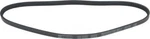 Serpentine Belt-protune Autopart Intl 1602-360085. Fixed Price $16.95.