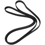 JK6-1033 Motorcraft Serpentine Belt New F150 Truck Ford F-150 Expedition. Fixed Price $95.03.