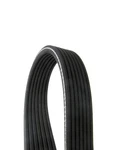 Continental Serpentine Belt For Volkswagen Phaeton, Passat D4071010. Fixed Price $60.18.