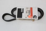3289124 Engine Genuine Cummins Belt 3423115. Fixed Price $19.95.