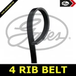 Power Steering Belt Ribbed For Honda Accord Vi 98- 02 1.8 Petrol F18B2 136. Fixed Price $27.40.