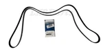 Land Rover Range Sport LR4 Primary Drive Serpentine Belt 5.0L LR064185 Dayco New. Fixed Price $38.00.