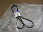 BT21) Napa Serpentine Belt 060919. Fixed Price $15.99.