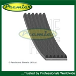 Premier Alternator Belt Fits Suzuki Vitara 2009- 2.4 + Other Models. Fixed Price $35.46.