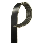 For Jeep Grand Cherokee 16-22 Professional Standard V-ribbed Serpentine Belt. Fixed Price $33.60.