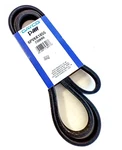Serpentine Poly Rib Belt Dayco 6PVKK1855. Fixed Price $24.89.