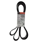 Genuine Ford Motorcraft Serpentine Belt JK81353. Fixed Price $59.95.