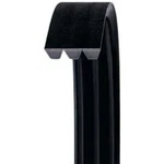 Accessory Drive Belt Dayco R5V950-2. Fixed Price $178.76.