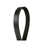 Serpentine Belt Fvp 780K6. Fixed Price $20.45.