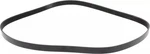 Genuine Nissan Serpentine Belt 11720-6CA0B. Fixed Price $59.57.