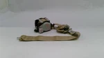 Gm Belt 25965946 New Oem. Fixed Price $38.20.