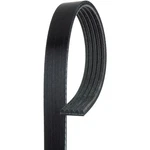 Acdelco 5K660 V Ribbed Serpentine Belt. Fixed Price $50.64.