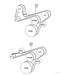 Genuine Mopar Accessory Drive Belt 4854259. Fixed Price $26.33.