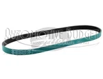 Water Pump & Alternator / Generator Control Belt For Ferrari 355 - Heavy Duty. Fixed Price $49.00.