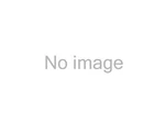 Crown Automotive 53013676AB Serpentine Belt. Fixed Price $61.45.