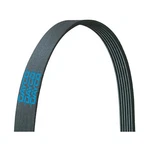 Dayco 5100870 Poly Rib Belt,. Fixed Price $80.56.