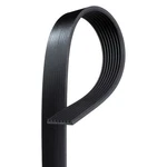 Ford Mustang 03-04 Acdelco Professional Standard V-ribbed Serpentine Belt. Fixed Price $41.34.