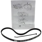 JK4371B Motorcraft Serpentine Belt Ford Mustang 2011-2014. Fixed Price $40.95.