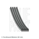 Blue Print AD04R1020 V-ribbed Belt For Honda,kia,suzuki. Fixed Price $6.92.