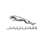 Genuine Jaguar 1988-1992 Vanden Plas XJ6 Alternator Belt EAC7033. Fixed Price $15.38.