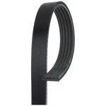 Acdelco 5K404 Serpentine Belt. Fixed Price $37.47.