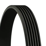 V-ribbed Belt Continental Ctam 6PK858. Fixed Price $16.28.