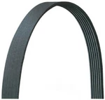 Serpentine Belt Drive-rite 5050540DR. Fixed Price $18.57.