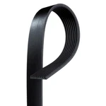 Gates Micro-v V-ribbed Belt. Fixed Price $67.18.