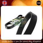 Belt Ford Focus Ka+ 1.5 Ti-vct 1.2 V-ribbed. Fixed Price $22.82.
