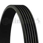 Continental Ctam 6PK1441 Extra V-ribbed Belt For Audi. Fixed Price $43.83.
