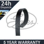 Gates V-ribbed Belts Fits Peugeot Bmw Vw Toyota Volvo 5 Year Warranty G3394. Fixed Price $20.50.