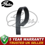 Gates V-ribbed Belts Fits Vw Audi Skoda Seat Bmw Honda Fiat Isuzu 6PK1088. Fixed Price $20.01.