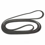 Serpentine Belt Motorcraft JK7-1223. Fixed Price $49.47.