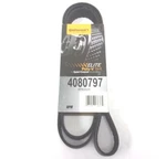 4080797 New Continental Elite Serpentine Poly-v Belt 8PK2025 79-7/10" X 1-1/8". Fixed Price $19.97.