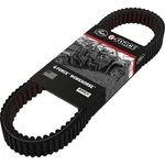 Gates G-force Workhorse Drive Belt 19G4006E-WH. Fixed Price $92.11.