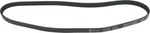 Serpentine Belt-protune Autopart Intl 1602-360220. Fixed Price $18.95.