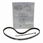 Serpentine Belt Motorcraft JK4-371B. Fixed Price $31.34.