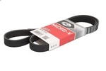 V-ribbed Belt Gates 6PK1305 Mazda (bl) 2009-2012. Fixed Price $93.30.