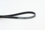 4PK922 Elast Continental Ctam V-ribbed Belt Citro Fiat Ford Peugeot 144. Fixed Price $17.64.