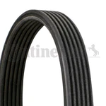 6DPK1100 Continental V-ribbed Belt. Fixed Price $23.06.